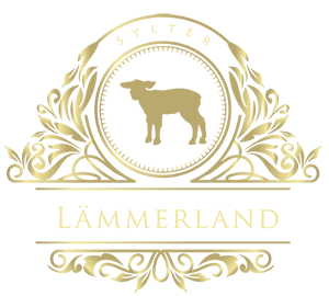 Schafe auf Sylt Sheep of Sylt Sylter Lämmerland